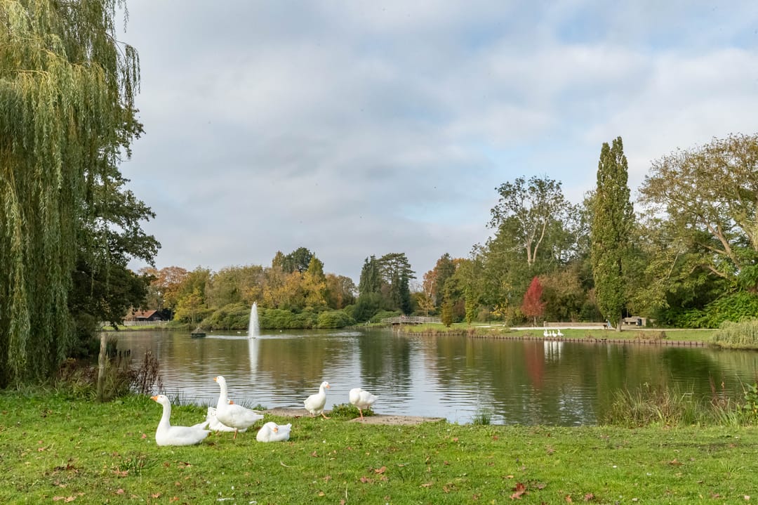 Photo 52 of Hopweg 24