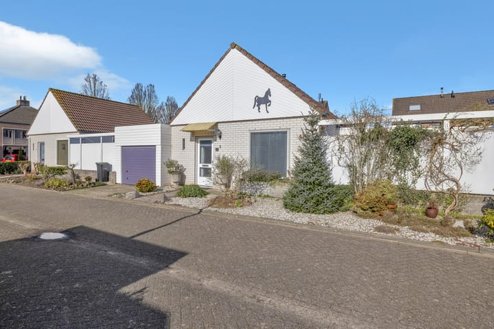 Foto 6 van Satijnvlinder 3