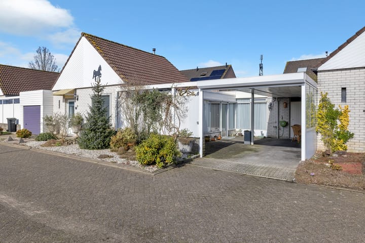 Foto 1 van Satijnvlinder 3