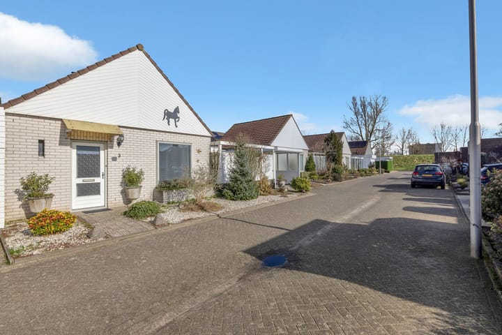 Foto 7 van Satijnvlinder 3