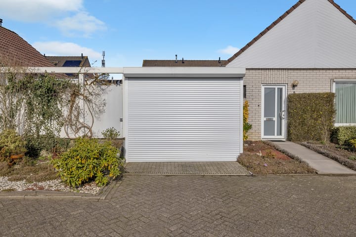 Foto 9 van Satijnvlinder 3