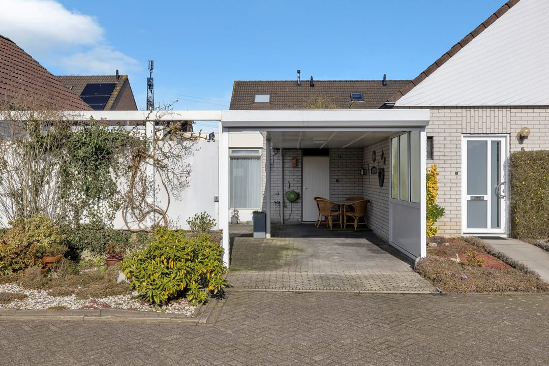 Foto 8 van Satijnvlinder 3