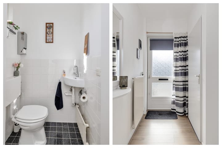 Foto 10 van Satijnvlinder 3