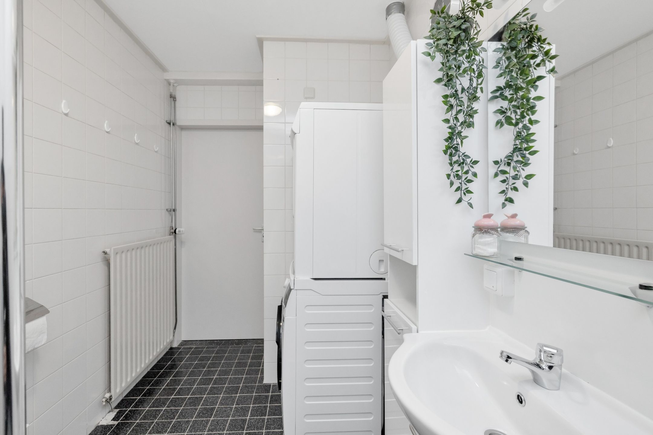 Foto 27 van Satijnvlinder 3