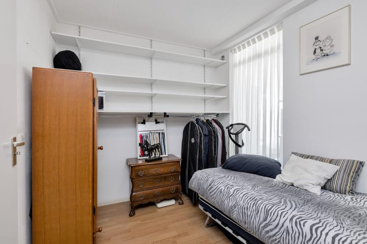 Foto 32 van Satijnvlinder 3