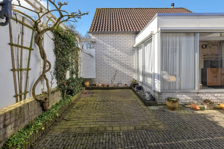 Foto 34 van Satijnvlinder 3