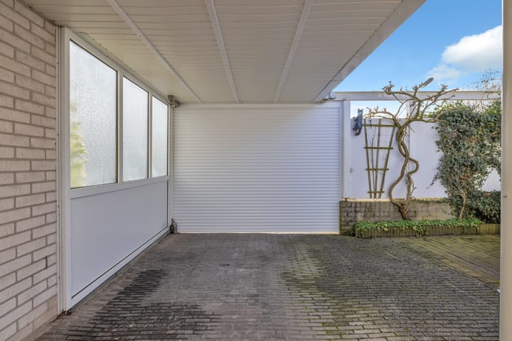 Foto 36 van Satijnvlinder 3