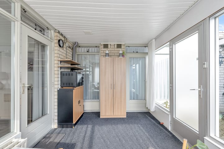 Foto 24 van Satijnvlinder 3