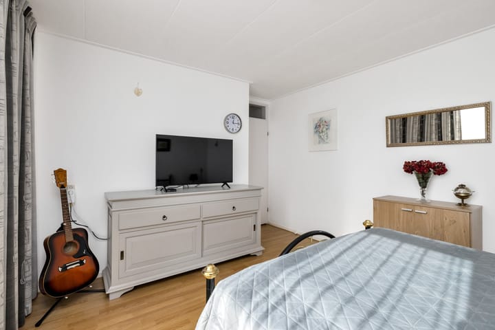 Foto 31 van Satijnvlinder 3