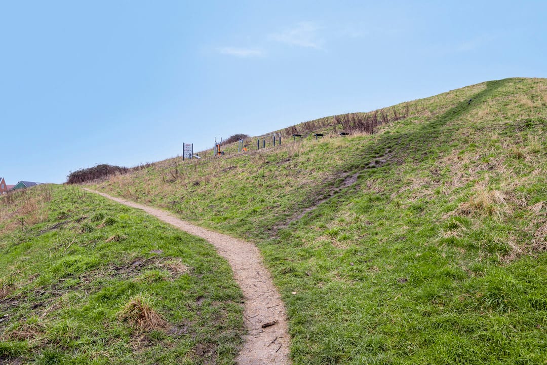 Foto 13 van Letterhout 36