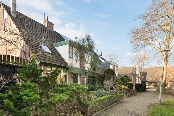 Foto 6 van Watermunt 14