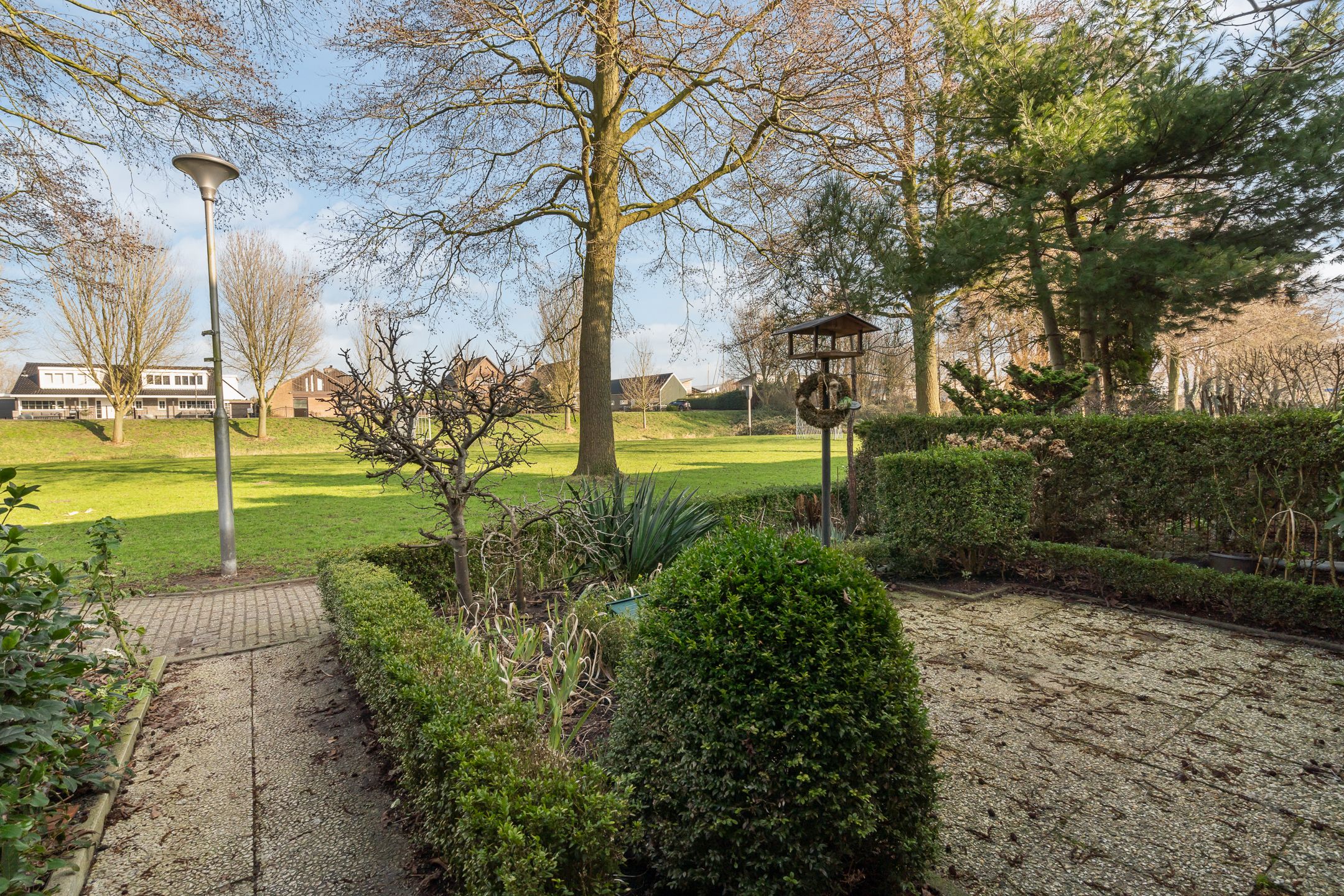 Foto 12 van Watermunt 14