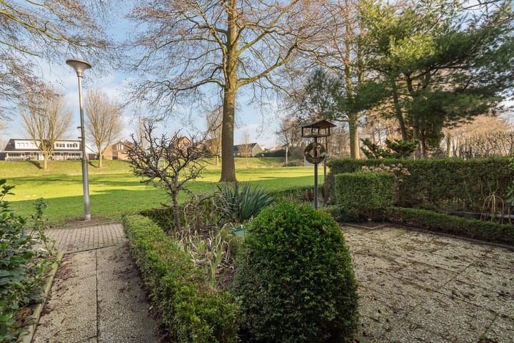 Foto 12 van Watermunt 14