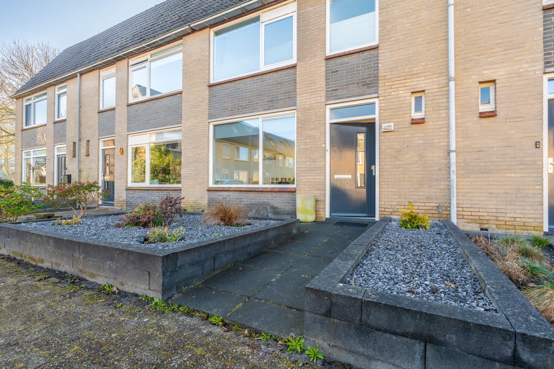 Photo 8 of Komeet 42