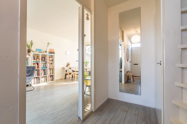 Foto 10 van Komeet 42