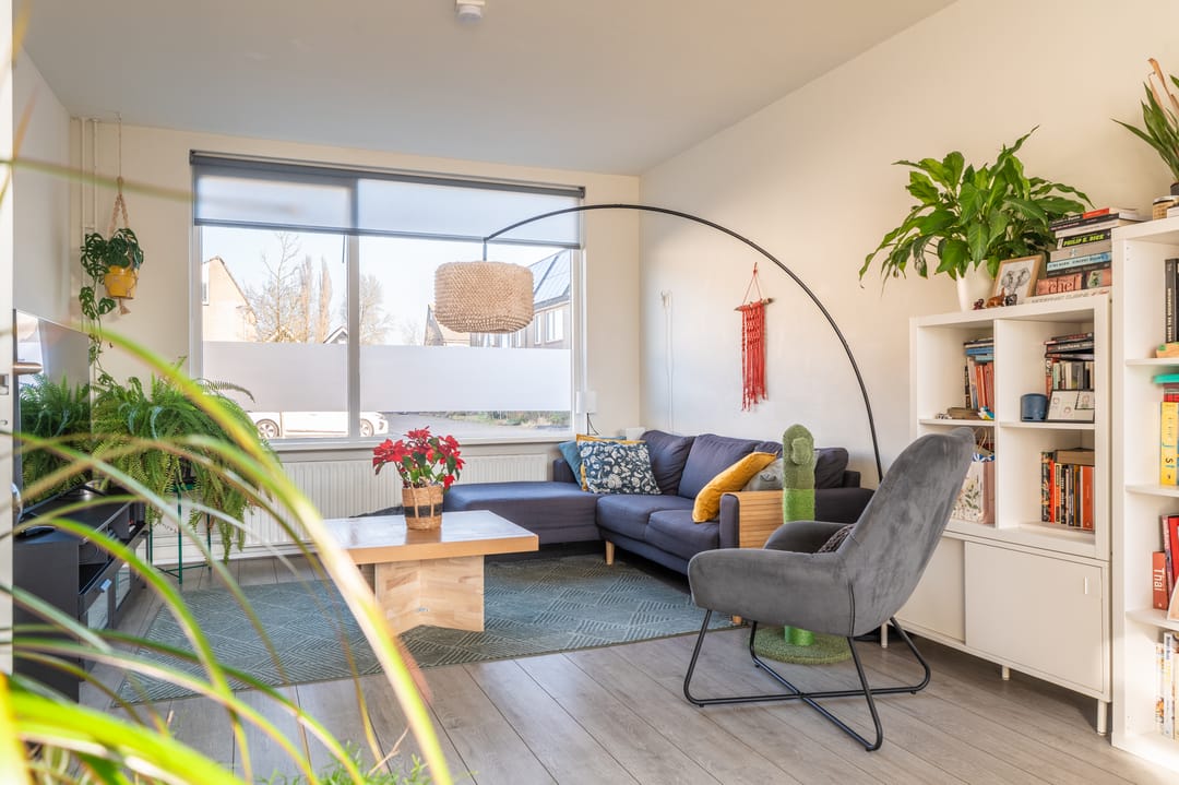 Photo 11 of Komeet 42