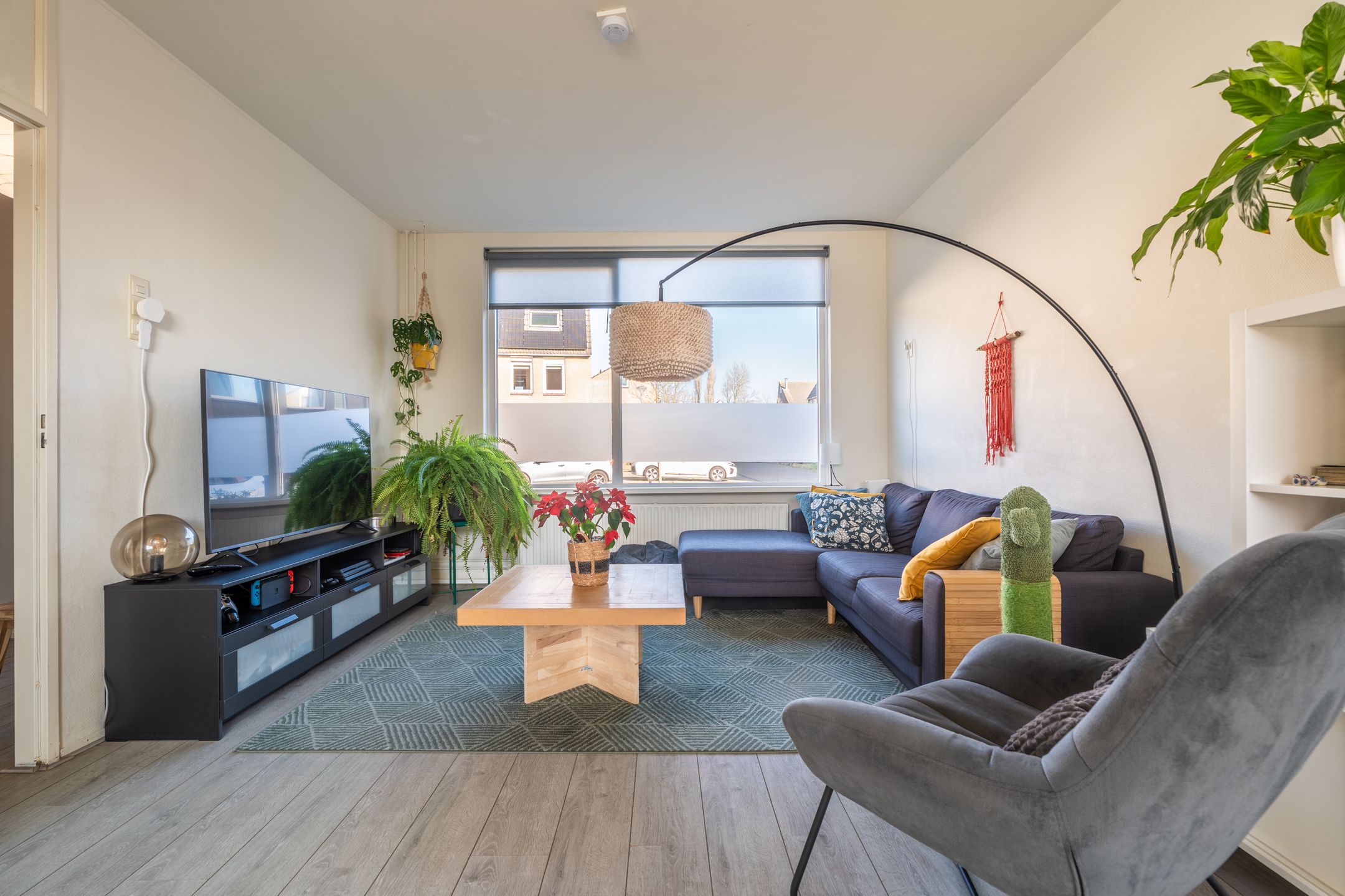 Photo 12 of Komeet 42