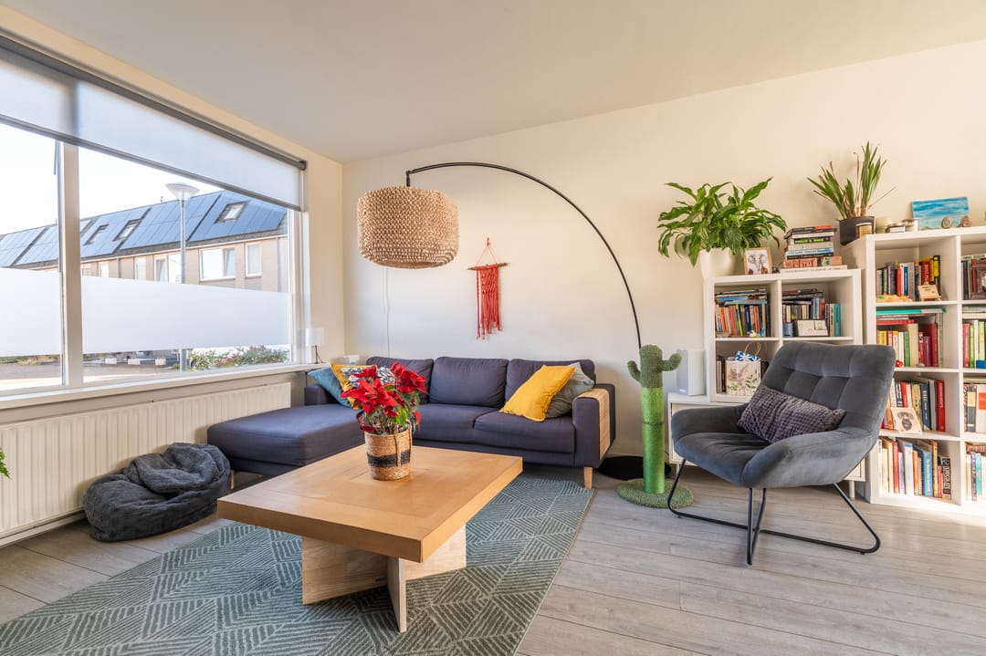 Photo 13 of Komeet 42