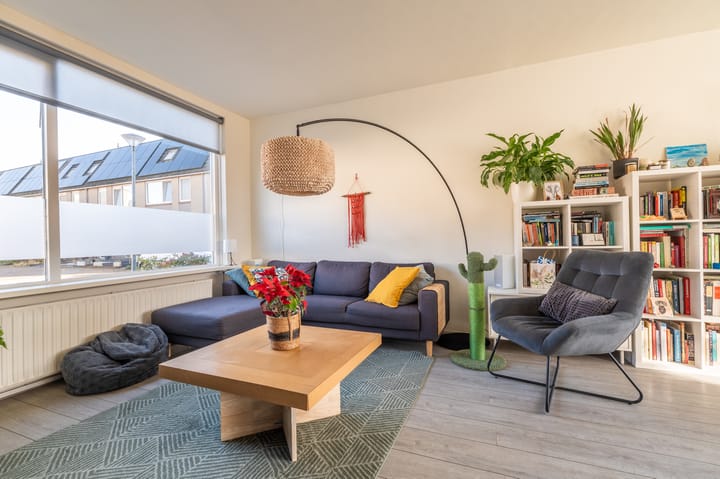 Foto 13 van Komeet 42