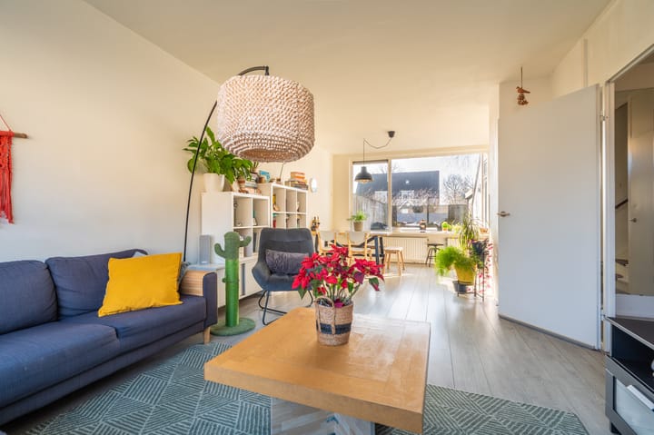 Foto 14 van Komeet 42