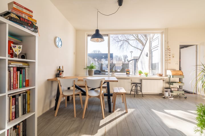 Foto 16 van Komeet 42