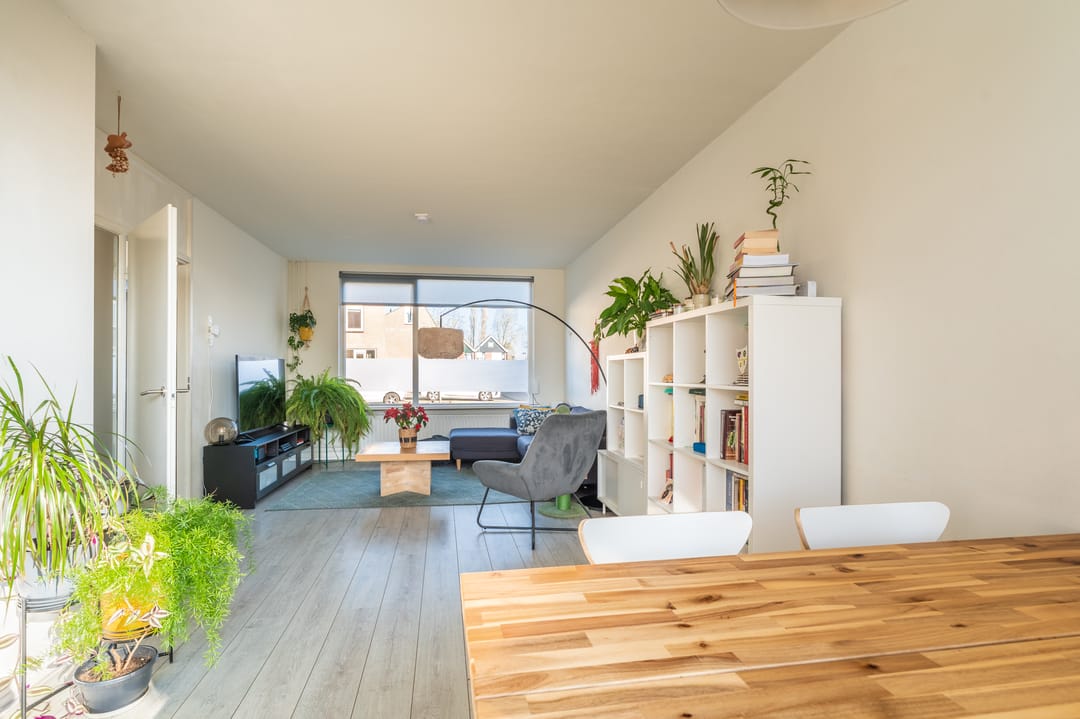 Photo 17 of Komeet 42