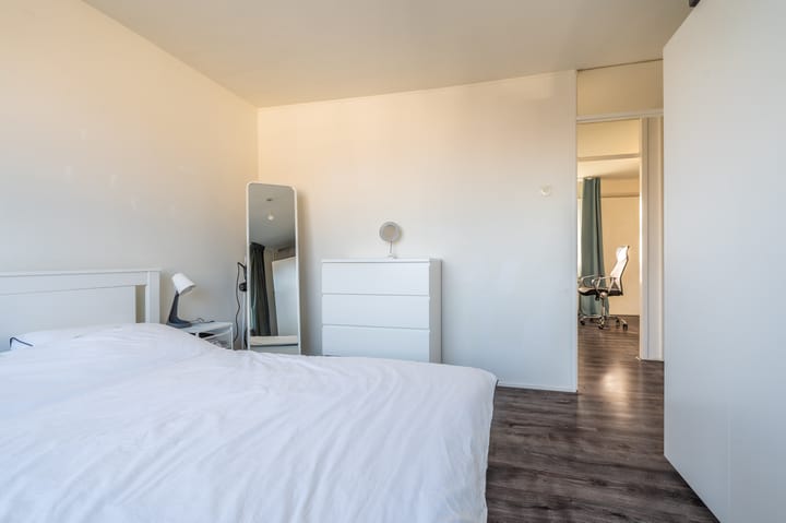 Foto 30 van Komeet 42