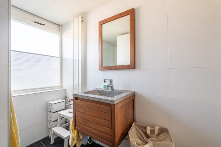 Foto 39 van Komeet 42