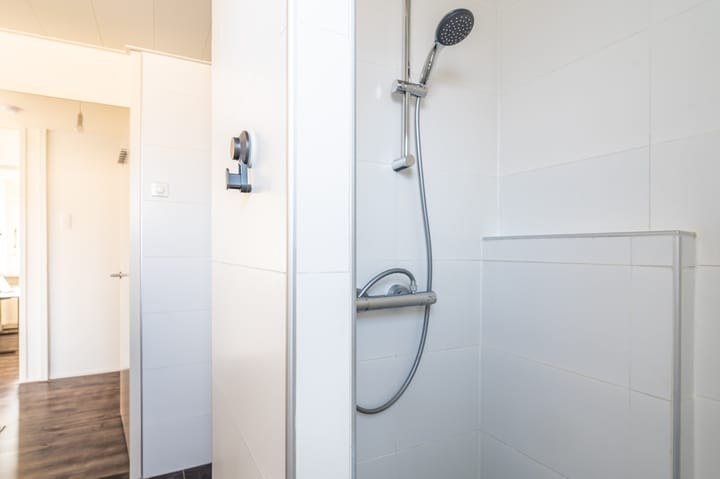 Foto 40 van Komeet 42