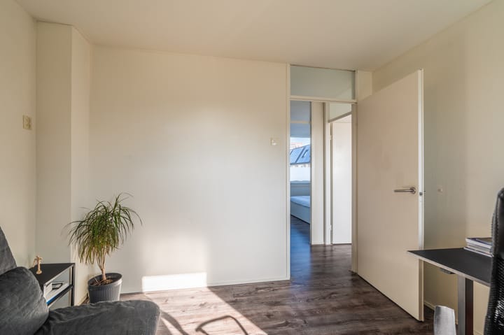 Foto 34 van Komeet 42