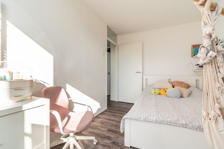 Foto 37 van Komeet 42