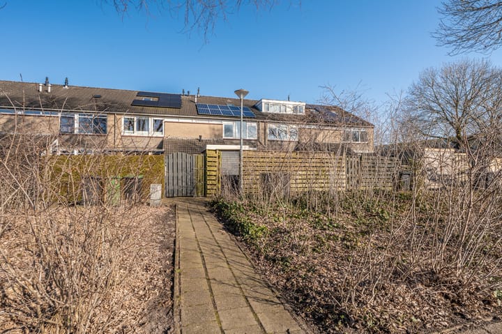 Foto 51 van Komeet 42