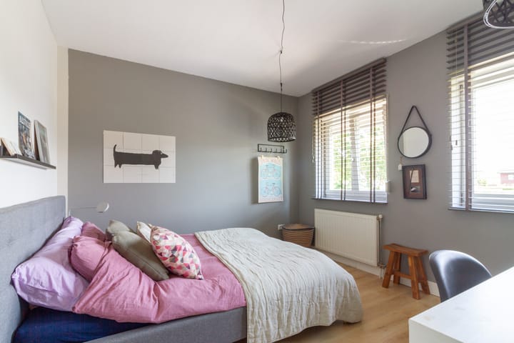 Foto 24 van Broenskuil 31