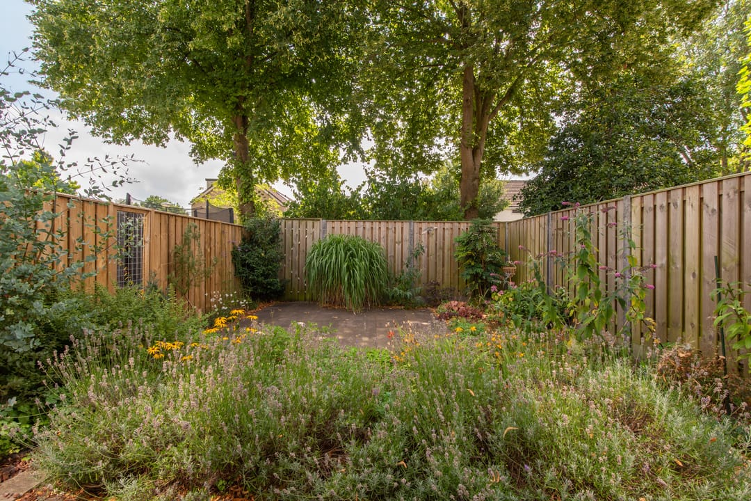 Foto 41 van Piriet 2