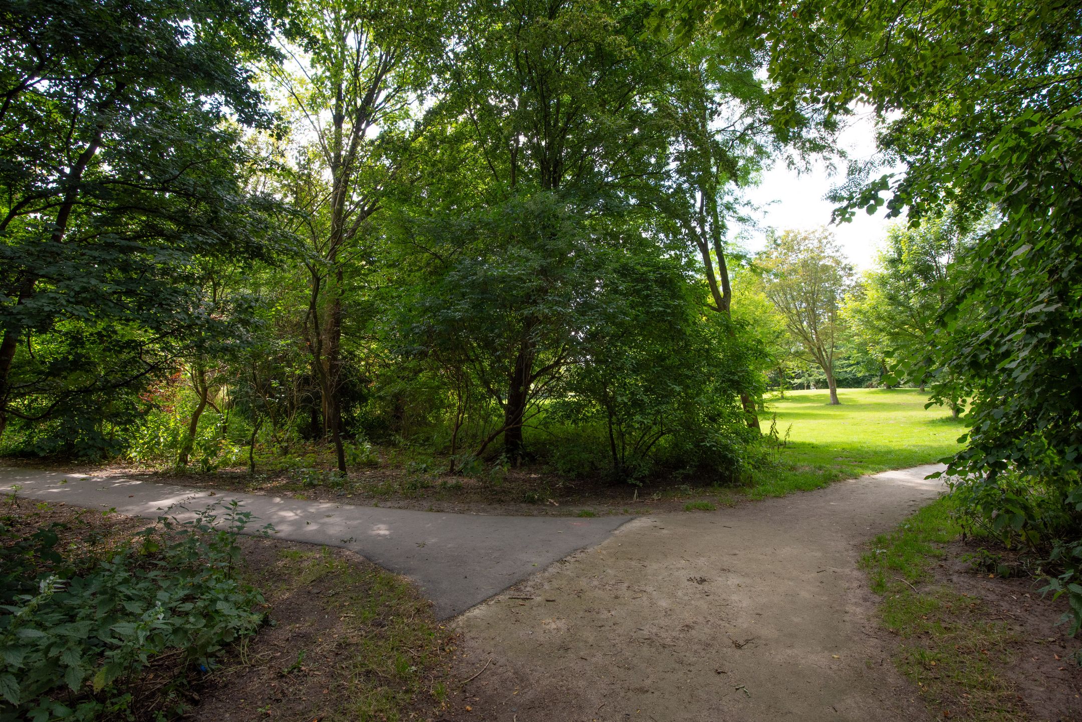 Foto 48 van Piriet 2