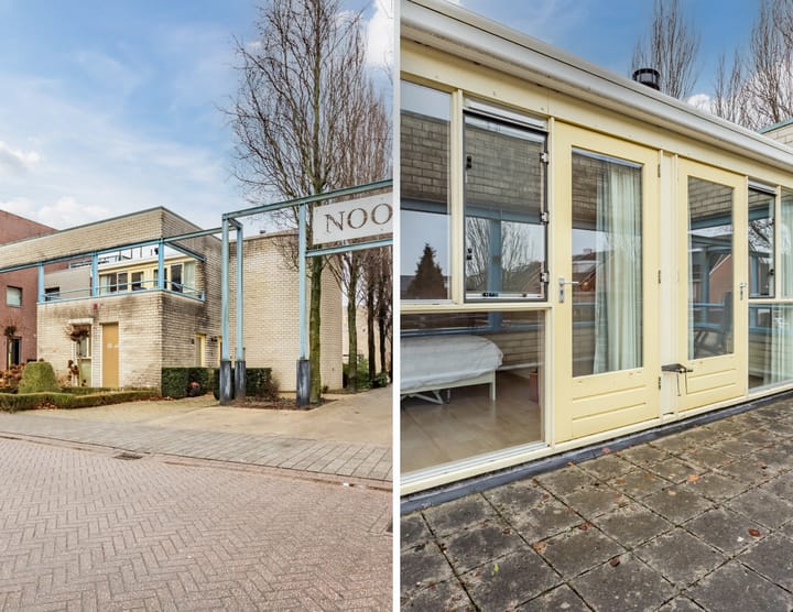 Foto 6 van Kamperfoelie 17