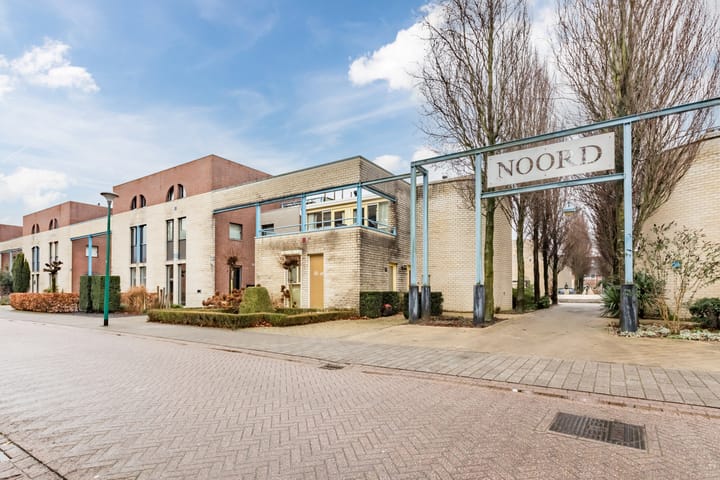 Foto 7 van Kamperfoelie 17