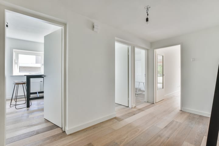 Photo 5 of Bolestein 398