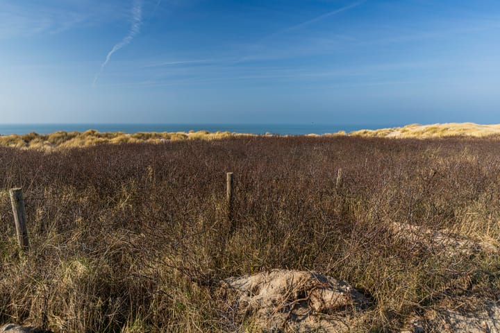 Foto 4 van Abdij van Rijnsburglaan 119