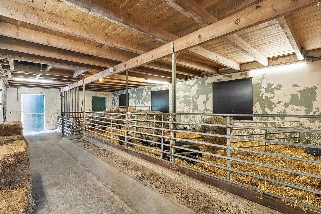 Photo 101 of Zwembadlaantje 1