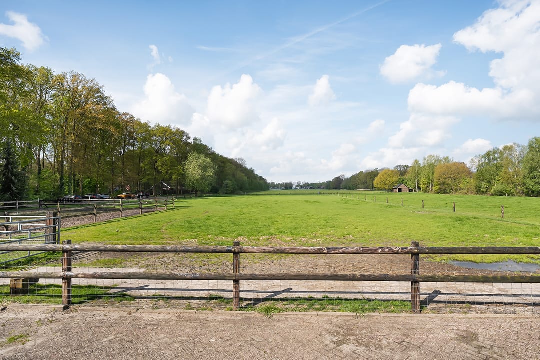 Photo 112 of Zwembadlaantje 1