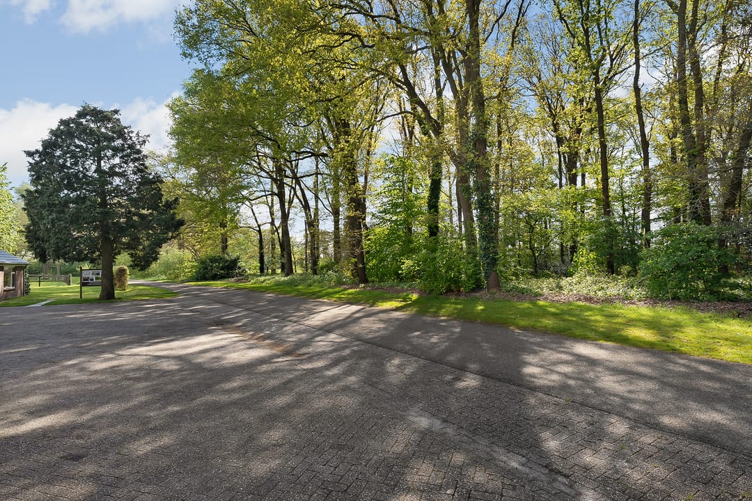 Photo 116 of Zwembadlaantje 1