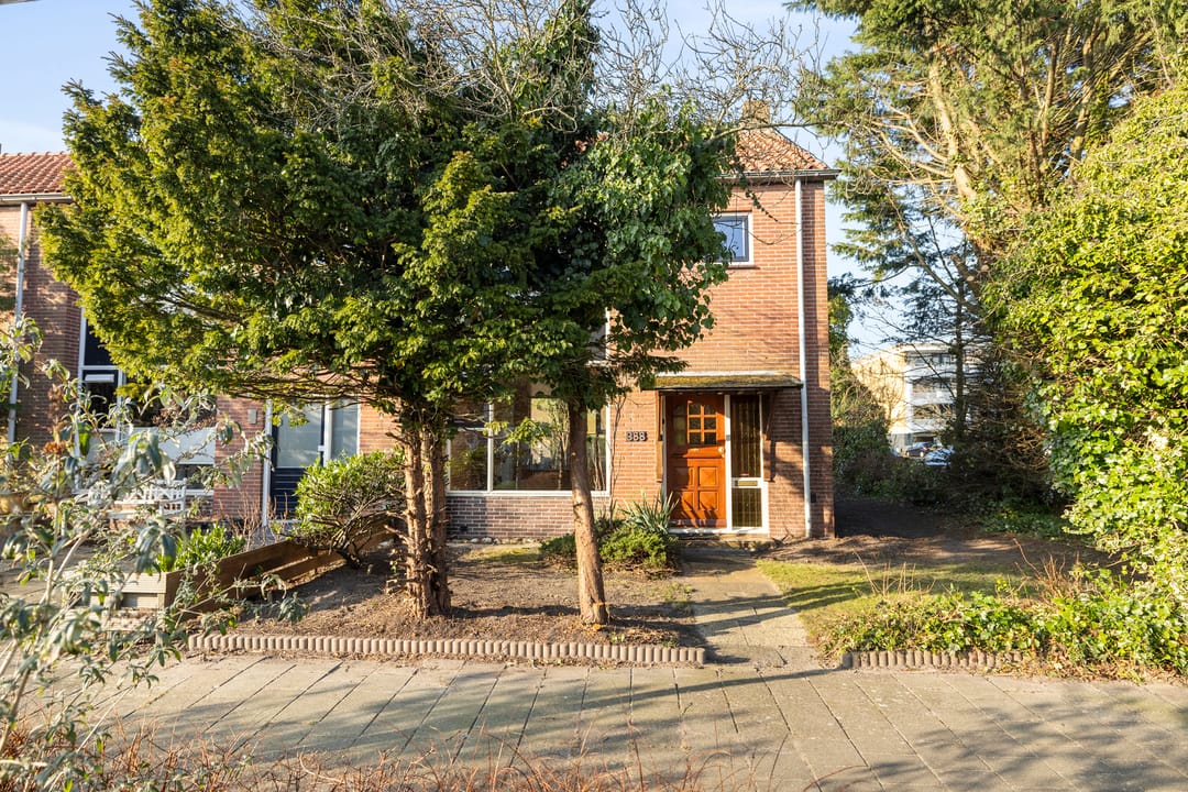 Photo 2 of Graaf Willem II straat 388