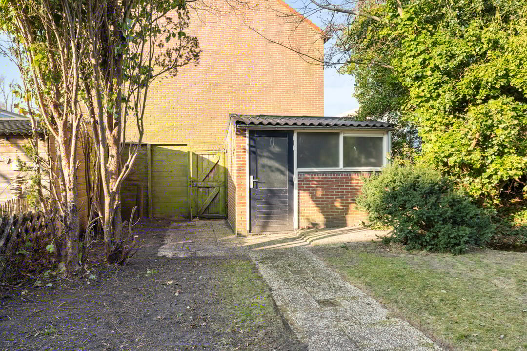 Photo 8 of Graaf Willem II straat 388