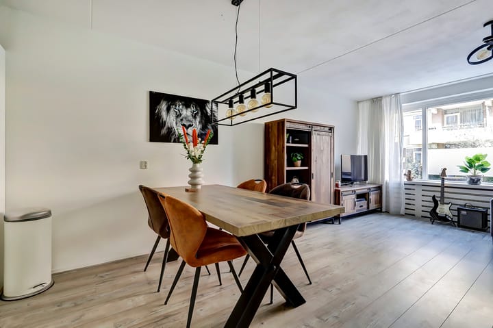 Foto 3 van Zaaier 64