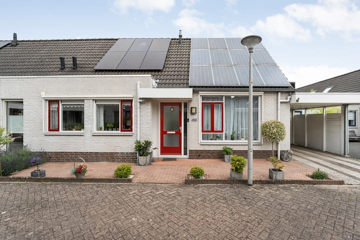 Foto 2 van Citroenvlinder 11