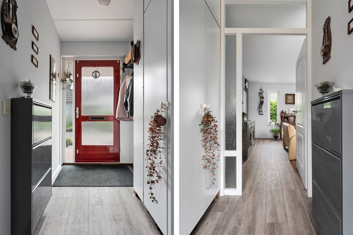 Foto 3 van Citroenvlinder 11