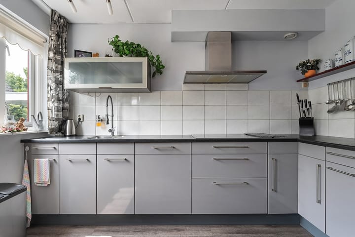 Foto 11 van Citroenvlinder 11