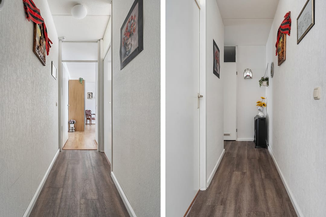 Foto 13 van Citroenvlinder 11