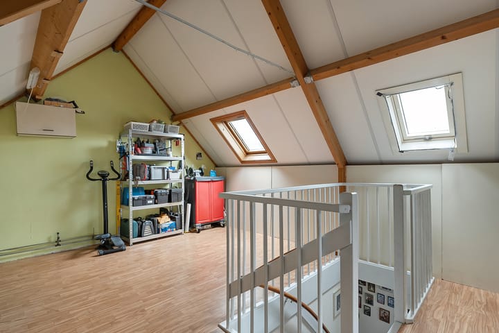 Foto 23 van Citroenvlinder 11